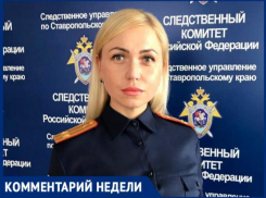 «Мера пресечения Роману Маркову не была избрана»: СК России