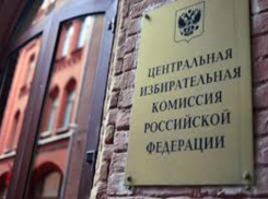 Жалобу «Партии роста» на ставропольский избирком не удовлетворил ЦИК