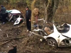 «Тойоту-Марк» разорвало на две части при столкновении с деревом на трассе Ростов - Ставрополь