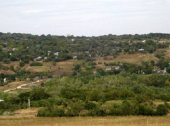 Предгорный район края хотят расформировать, поделив между городами