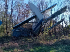 Вынужденную посадку на дорогу под Ессентуками совершил самолет АН-2