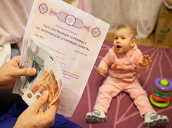 Адвоката и трёх его клиенток накажут за «распил» материнского капитала на Ставрополье