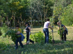 На большой субботник перед Днем Победы пригласили жителей Ставрополя 