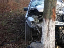В Ставрополе «Калина» врезалась в дерево