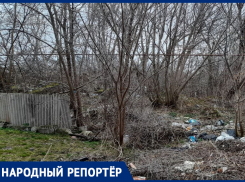 Из парка в свалку: жительница Ставрополья поделилась фото с кучами мусора в центре поселка