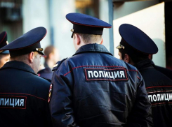 Полиция Ставрополя ищет издевающегося над котами юного живодера 