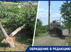 Вместо обпила верхушек деревьев бригада электриков под корень вырубила лесополосу в станице Рождественской