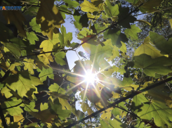 Пора убирать зимние куртки: синоптики пообещали потепление до +13 градусов на Ставрополье 14 февраля