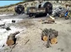 Лес пустили на шашлык: на КМВ черные лесорубы уничтожают деревья для изготовления шашлычных углей