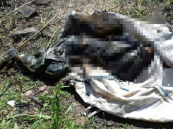 Труп неизвестного мужчины обнаружили спасатели в болоте на Ставрополье 