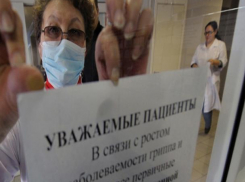 В Ставрополе почти на 68% превышен эпидпорог заболеваемости гриппом