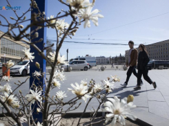 На проведение студвесны на Ставрополье из бюджета выделят 900 тысяч рублей