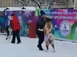Бальные танцы станцевали собаки в центре Ставрополя и попали на видео