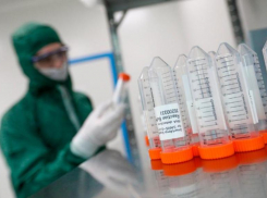 На Ставрополье уже более 500 подтвержденных диагнозов CoVID-19