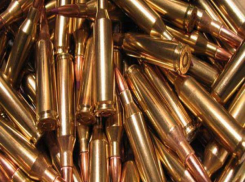 Ставропольца за хранение боевых патронов осудили на один год условно