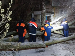 Спасатели устраняют последствия урагана, обрушившегося на Ставрополье
