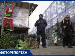 Новогодняя суета: как жители Ставрополя готовятся к празднику