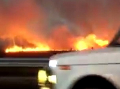 Бушующее на сотни метров пламя вдоль трассы под Невинномысском сняли на видео очевидцы