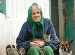 Пенсионерам подняли прожиточный минимум на 162 рубля в Ставропольском крае 