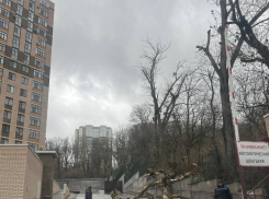 Сильный ветер снова проверяет Ставрополь на прочность