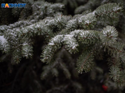 В Ставропольском крае прогнозируют заморозки до -1 градуса 29 ноября 