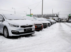 Честный брокеридж: во Fresh Auto рассказали, как быстро оформить сделку и быть уверенным в ее чистоте