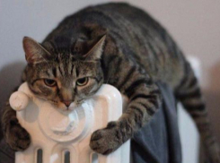 Отопительный сезон в Ставрополе закончится 11 апреля 