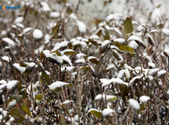 После снегопадов на Ставрополье снова потеплеет до +10