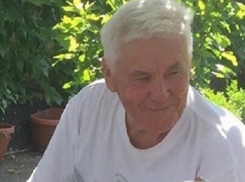 Пожилой грибник в белой бейсболке пропал на Ставрополье