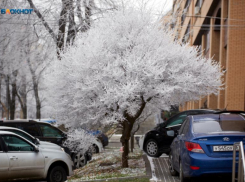Стоимость топлива на Ставрополье оказалась одной из самых высоких в СКФО