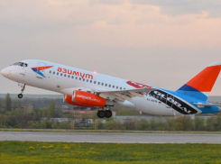 Летевший из Минеральных Вод в Уфу рейс «Азимута» сообщил о столкновении с птицей