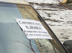 «Народный мститель» появился в юго-западном районе Ставрополя