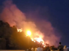 Пламя на одну тысячу квадратных метров охватило гору Машук в Пятигорске