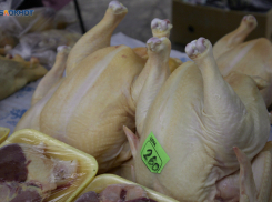 «Ставропольского бройлера» просят признать банкротом с долгом 79 миллионов рублей