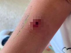 Стрелявший в детей пенсионер из Ставрополя ответит за содеянное в суде