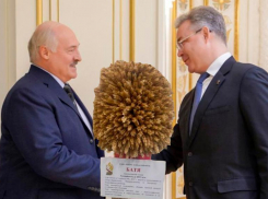 Губернатор Ставрополья подарил «Батю» президенту Белоруссии Лукашенко