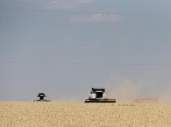 В бюджет края поступит 20 миллиардов рублей на развитие мелиорации