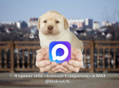 «Блокнот Ставрополь» появился в MAX