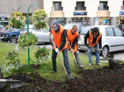 Детский труд используют в школах Железноводска для подготовки к учебному году