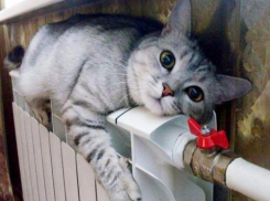 Потепление поставило точку в отопительном сезоне в Ставрополе