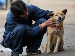 Больше половины ставропольцев хотят потратить свалившийся с неба миллион долларов на благотворительность 