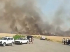 Сильный пожар в пшеничных полях попал на видео в Ставропольском крае 