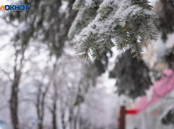 Не опять, а снова: заморозки до -3 задержатся на Ставрополье до 1 мая
