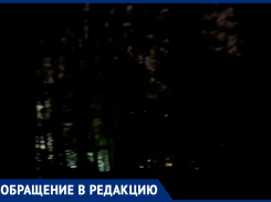 «Единственный фонарь, и то для собак»: жители Ставрополя добираются домой в потемках
