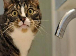 От аварийного отключения воды пострадали более 10 тысяч невинномыссцев