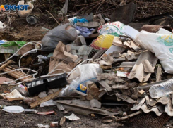 Мусорный полигон на КМВ закроют из-за незаконной работы