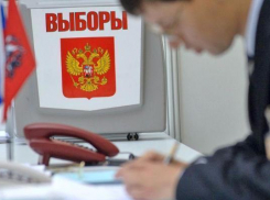 Стали известны предварительные результаты выборов в краевую Думу