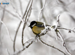 Жителей Ставрополья ждут морозы до -9 градусов и гололедица 17 декабря 