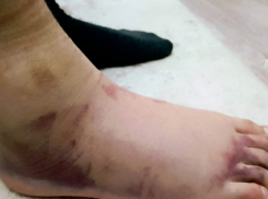 Мама отсудила 50 тысяч у сельской школы на Ставрополье: все из-за урока физкультуры 