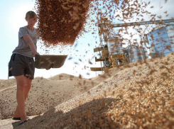 Мир может остаться без ставропольского зерна